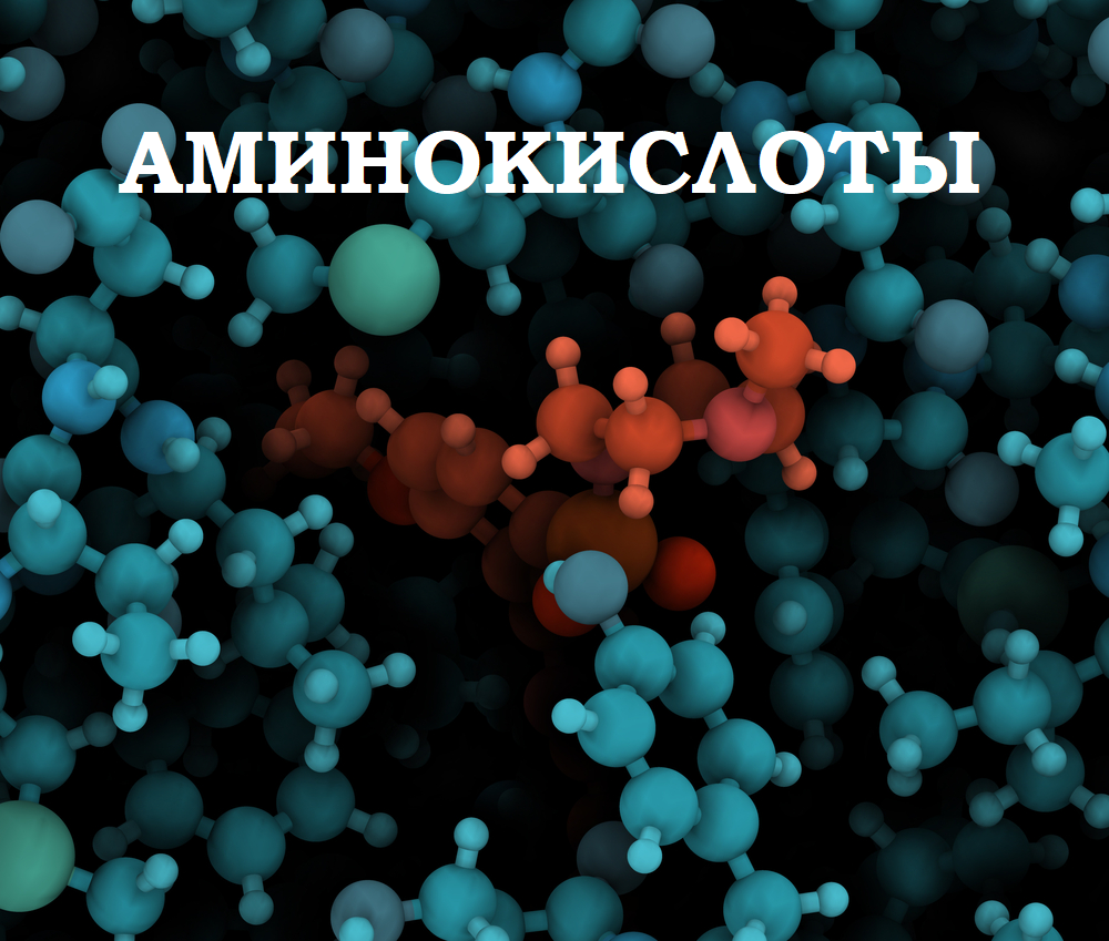 Аминокислоты