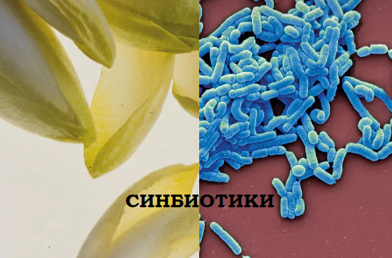 Синбиотики