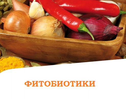 Фитобиотики